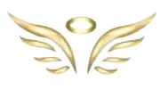 برند گلد انجل (Gold-angel)