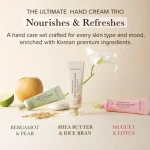 اصل ست کرم دست ۳ گانه سئول ادیشن مری اند می