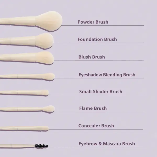 قیمت ست براش حرفه‌ای شیگلمSHEGLAM